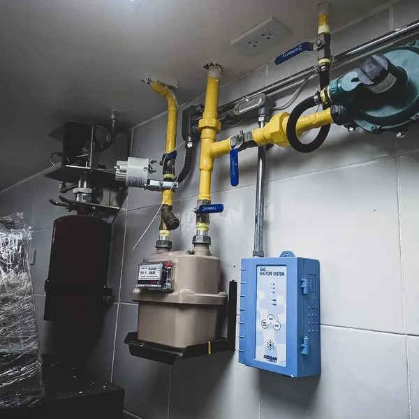 Gas Detection System